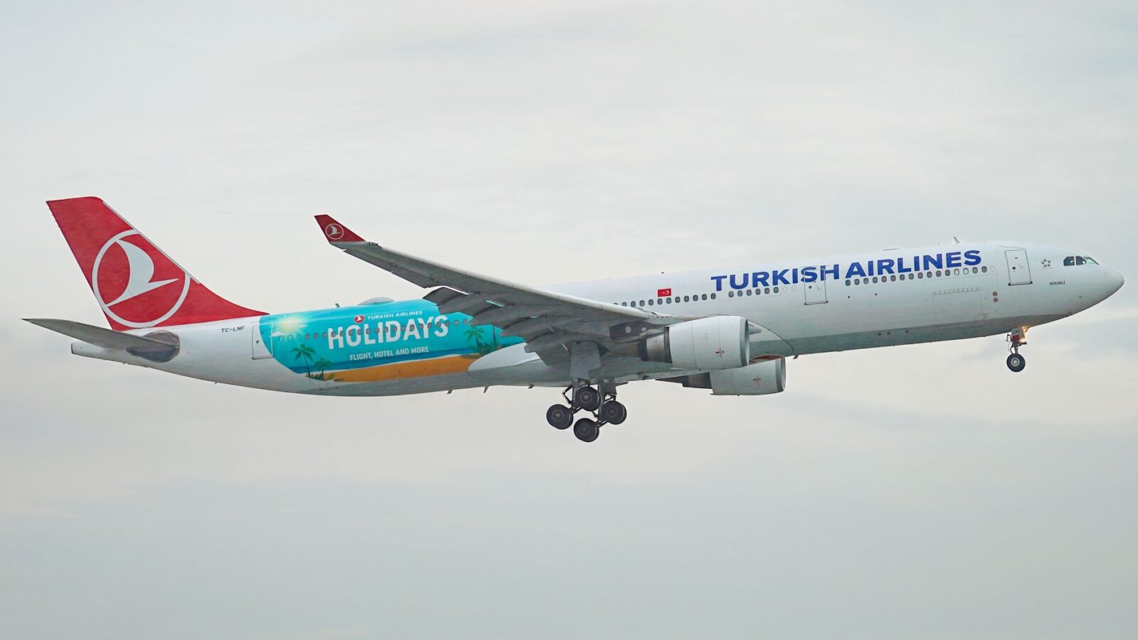 Planning Memorable International Vacation Experiences
