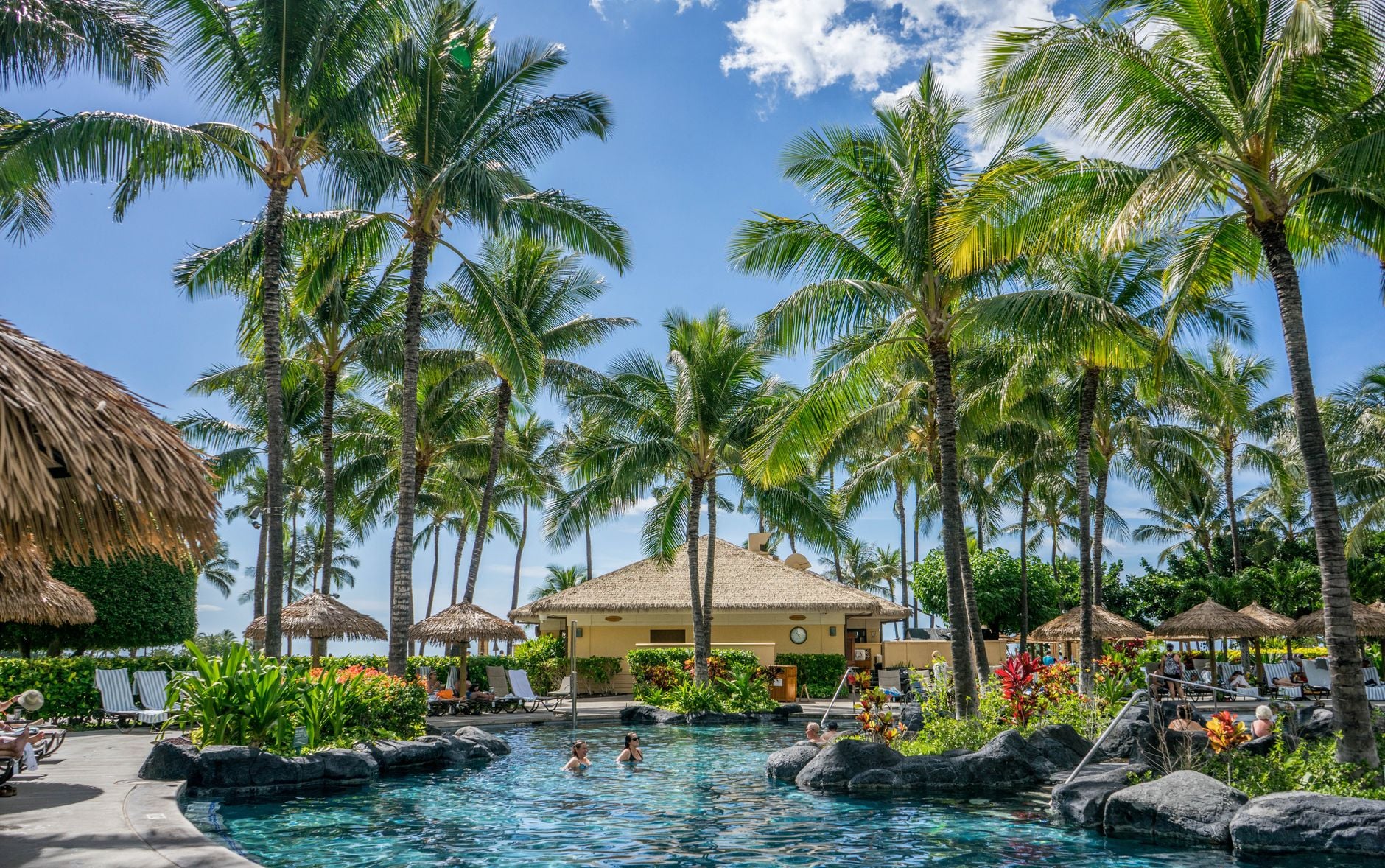 Tropical resort pool area surrounded by palm trees, thatched-roof structures, and guests swimming in turquoise water