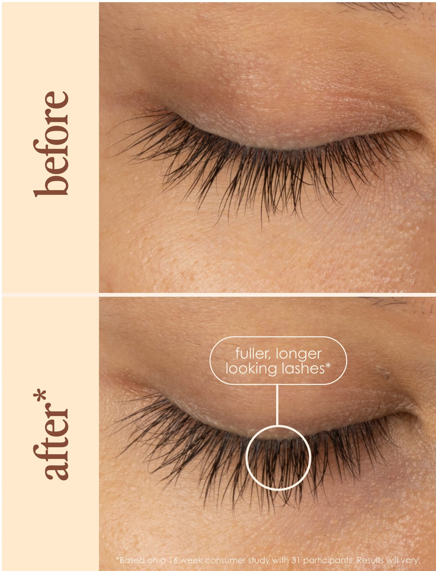 Before and after comparison of eyelashes showing fuller, longer appearance after serum application