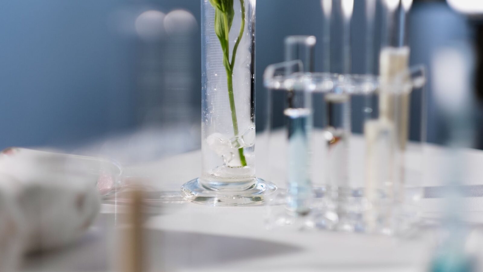 Clinique Skincare Science-Based Beauty for Every Skin Type