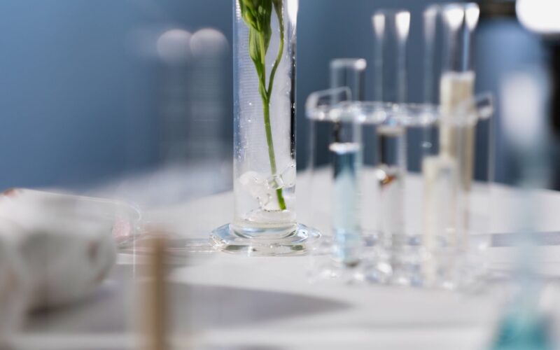 Clinique Skincare Science-Based Beauty for Every Skin Type