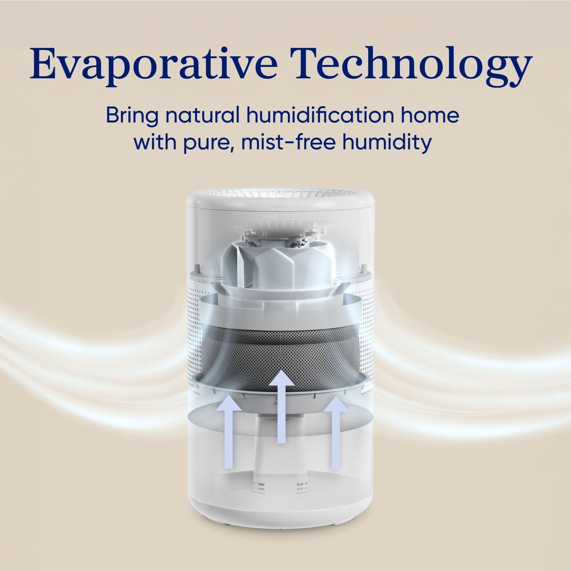 White cylindrical humidifier with cross-section showing evaporative technology and upward airflow arrows