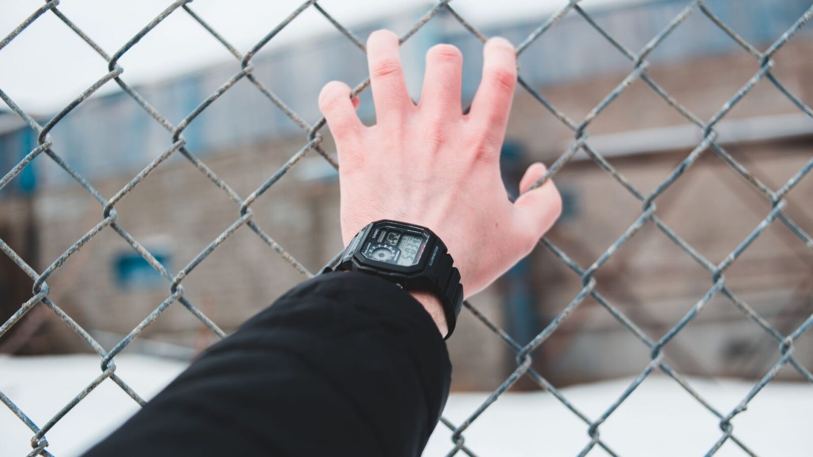 Common Swatch Watch Myths Debunked Materials, Durability, and Design Facts