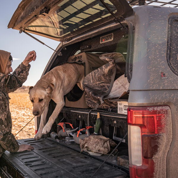 Hunter loading hunting dog into open truck bed with camouflage gear and equipment visible